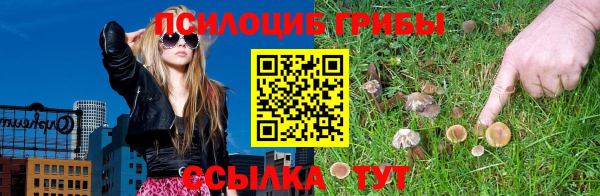 Галлюциногенные грибы Magic Shrooms  Галлюциногенные грибы GOLDEN TEACHER  Лабытнанги  Вход с VPN 