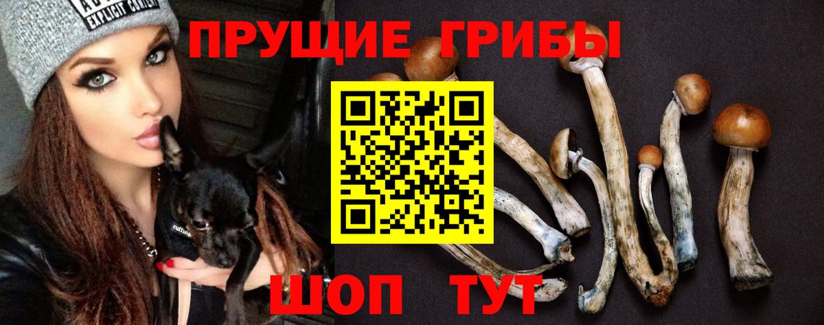 Псилоцибиновые грибы мухоморы Лабытнанги